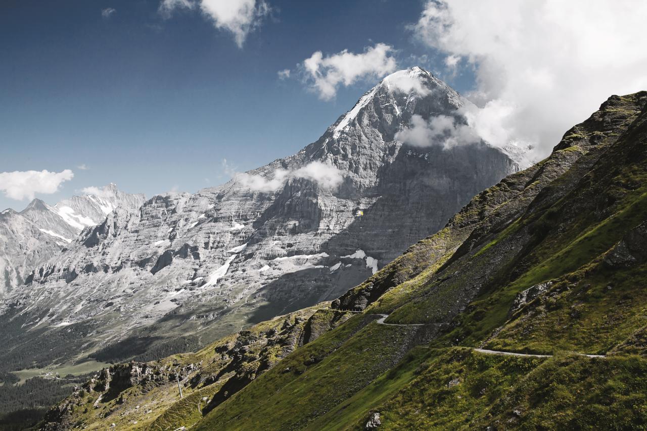 Berg mit Wiese