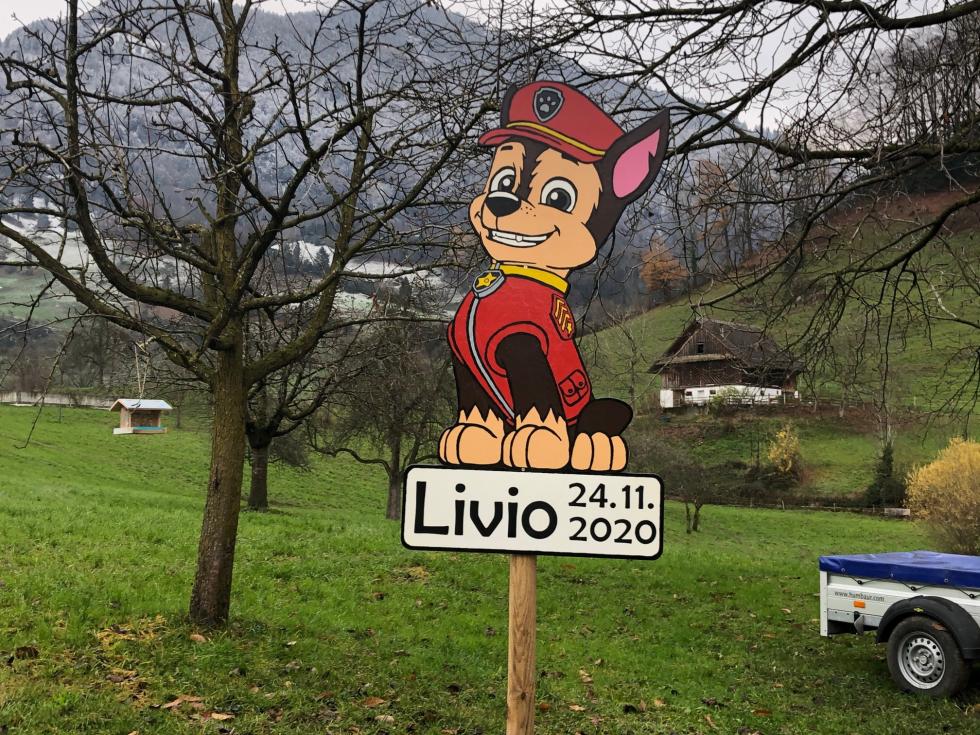 BFW Geburtstafel für Livio