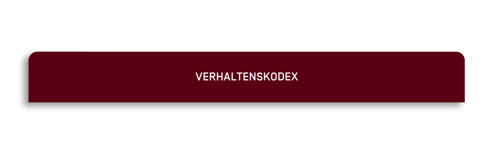 Kompetenzmodell_einzeln_Aufbau_3